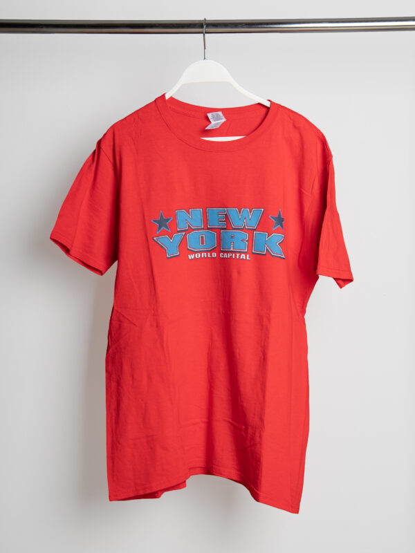 HUDSON NEW YORK GRAPHIC T-SHIRT